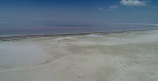 Tuz Gölü Küçülüyor, Flamingolar Gelmiyor