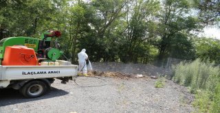 Eyüpsultan, Kurban Bayramına Hazır