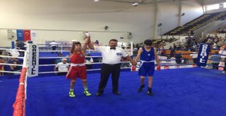 Boksun Şampiyonu Büyükşehirden