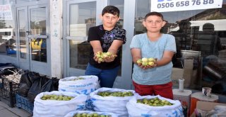 İhtiyaçlarını Yerli Elma Satışıyla Karşılıyorlar