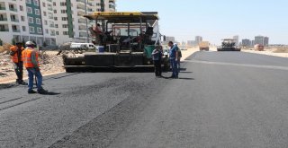 Kayyum Geldi, Diyarbakırda Yapılmadık Yol Kalmadı