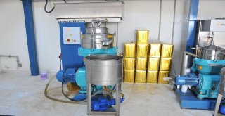 Harran Üniversitesi Bölgenin Zeytinyağı İhtiyacını Karşılıyor