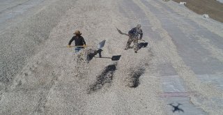 Çin Tehdidi Çekirdek Üreticisi Tedirgin Ediyor