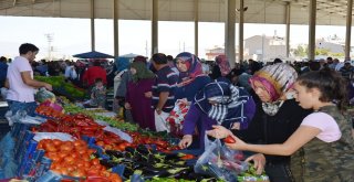 Suşehrinde Gurbetçi Yoğunluğu