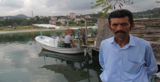 Giresunlu Balıkçılar, 1 Eylüle Hazır