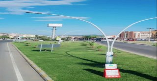 Balıkesirde Refüjler Çiçek Açtı