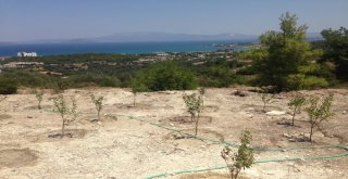 Ünlü Tatil Merkezinde Hazine Arazisi İşgaline Tepki
