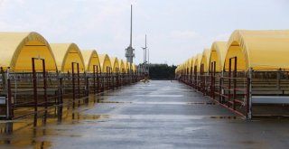 Kurban Satıcılarının Yerleri Kurayla Belirlendi