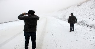 Erzurumda Lapa Lapa Kar Ve Tipi