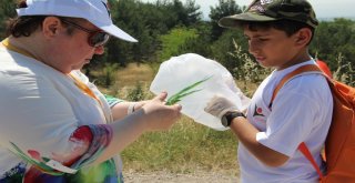 Amasyalı Çocuklara Tübitak Destekli Doğa Ve Bilim Eğitimi