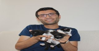 Yavru Kedileri Biberonla Büyütüyor