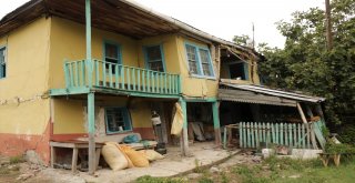 Deprem Değil Heyelan Bu Hale Getirdi