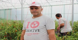 Suriyeli Mülteciler Yetiştiriyor, Türk Kursiyerler İşliyor