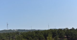 Yenilenebilir Rüzgâr Enerjisine 315 Milyon Tllik Yatırım