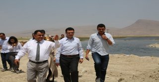 Bejingir Su Kaynağı Çevresinde Düzenleme