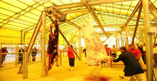 Başakşehirli Kasaplara Uygulamalı Kurban Kesim Eğitimi
