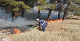 Adıyamanda Orman Yangını