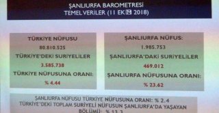 Şanlıurfada Günde 50 Suriyeli Bebek Dünyaya Geliyor