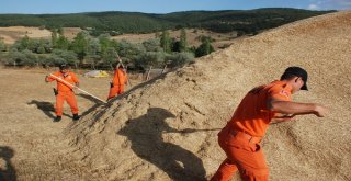 Evrimi Arama Çalışmaları Noktasal Olarak Yapılacak