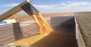 İşyurtlarından Milli Tohumla Üretim Seferberliği