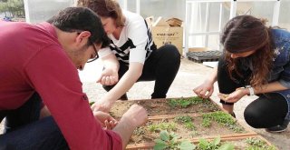 Uşak Üniversitesi Ziraat Ve Doğa Bilimleri Fakültesi Üretirken Öğretiyor