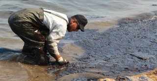 Foçadaki Çevre Felaketinde Temizlik Çalışmaları Devam Ediyor