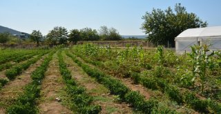 Başkan Tatlıoğlundan Yöre Kadınlarına İstihdam Desteği