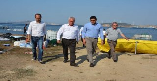 Başkan Acardan Foçaya Destek