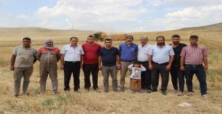 Biçerdöverler Tarlaya Girdi, Hasat Yüzleri Güldürdü