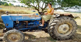 (Özel) Üniversiteli Genç Kız, Kastamonuda İmece Usulü Köy İşlerinde Çalışıyor