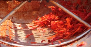 Şanlıurfada İsotun Üretim Serüveni Başladı