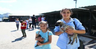 Çocuklardan Can Dostlara Şefkat Ziyareti