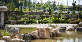 8. Deneyimli Kafe Çamlıcada Açılıyor