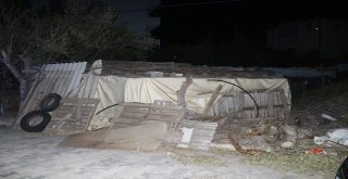 Şarbon Nedeniyle İki Mahalle Karantinaya Alındı