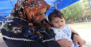 Hiç Görmediği Şehit Babasıyla Mezarda Bayramlaştı