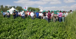 Kayseri Şeker, Tarla Gününde Üniversite, Sanayici Ve Çiftçileri Buluşturdu