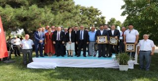 Yerli Ve Milli Çeltik Tohumları Görücüye Çıktı