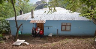 Oğluna Kızdı, Evin Dört Bir Tarafını Tel Örgüyle Kapattı