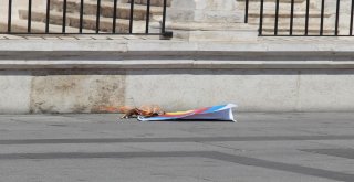 Sivas, Yozgat Ve Tokatta 30 Ağustos Coşkusu