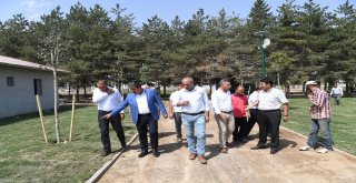 Göletli Parkta Yeşillendirme Çalışması