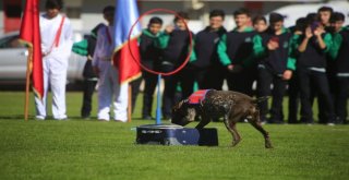 Nevşehirde Cumhuriyet Bayramı Kutlamalarına Eğitimli Köpeklerin Gösterisi Damga Vurdu