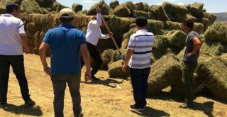 Bahadır, Yatırımı Tamamlanan Projeleri İnceledi