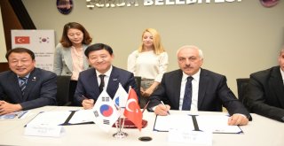 Hititler Ve Gaya Uygarlığının Dünyaya Tanıtılması İçin İşbirliği