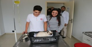 Cü Vakfı Okulları Öğrencileri Hayvanları Unutmadı