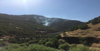 Beytüşşebapta Orman Yangını