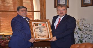 Sağlık Bakanı Yardımcısı Halil Eldemir: