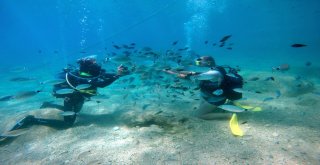 Turistlerin Yeni Gözdesi Su Altında Ekmekle Balık Beslemek