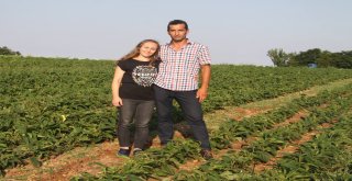 (Özel) Karı Koca Birlikte Şifa Ekiyor