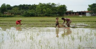 Rohingyalılara Yönelik Soykırımın Üstünden 1 Yıl Geçti