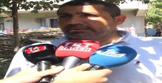 (Özel Haber) Film Sahnelerini Aratmayan Keçi, 3Üncü Kattan Adamın Üzerine Düştü